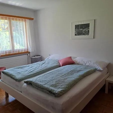 Chesa Azalea 30 By Interhome Pontresina