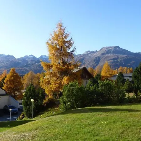 Διαμέρισμα Chesa Azalea 30 By Interhome Pontresina