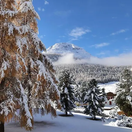 Daire Chesa Azalea 30 By Interhome